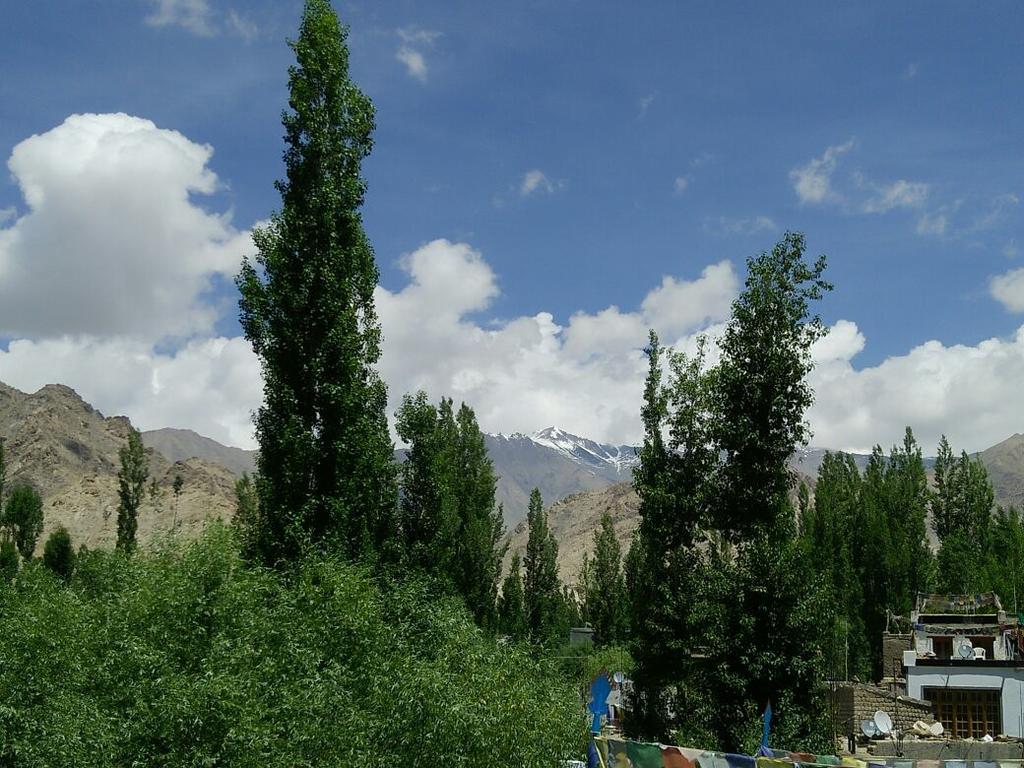 Youthok Guest House Leh Dış mekan fotoğraf