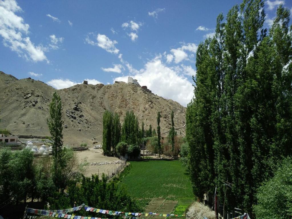 Youthok Guest House Leh Dış mekan fotoğraf